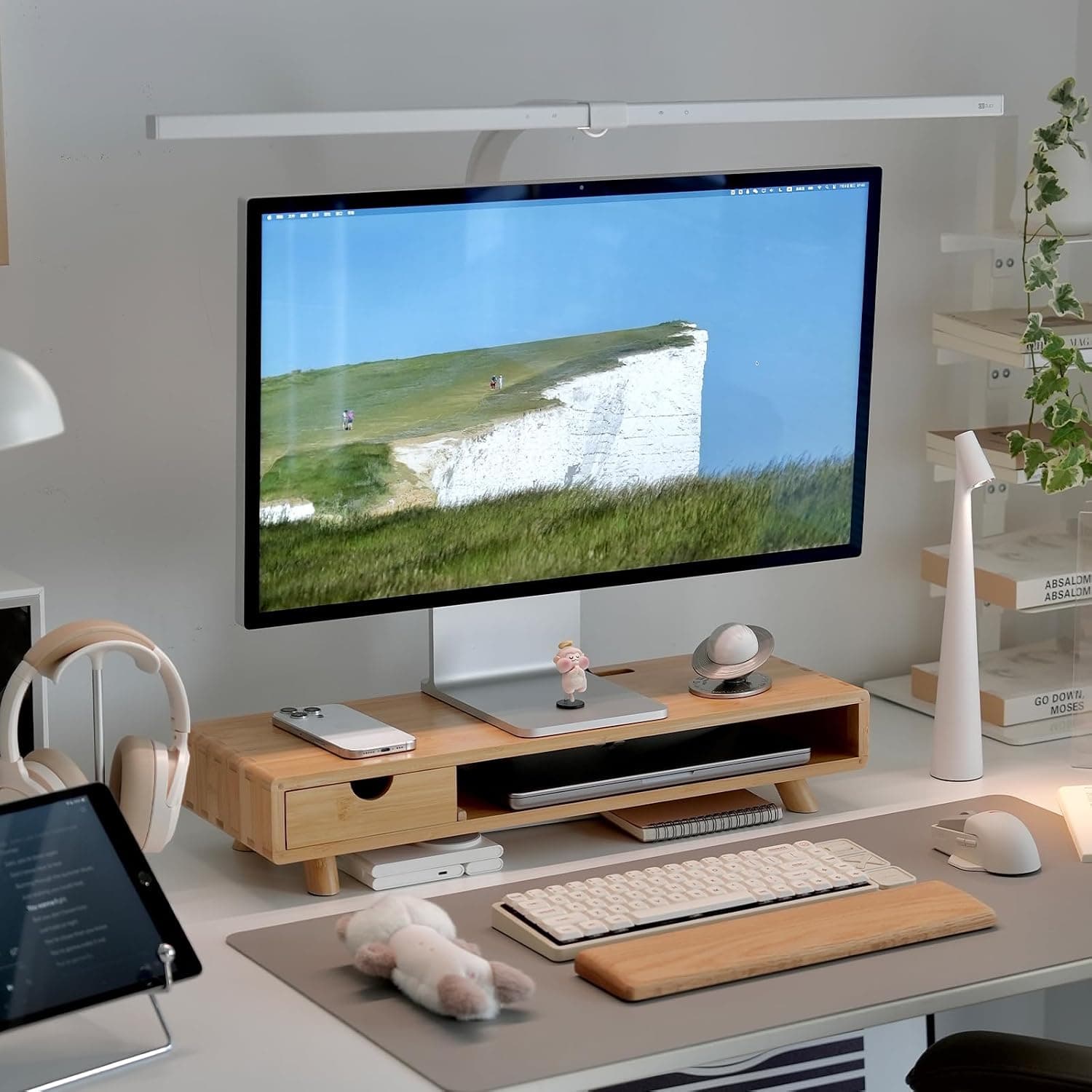 Monitor Stand with Desk Organizer